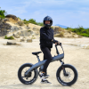 Q3 Fat Tire Electric Bike - Image 4