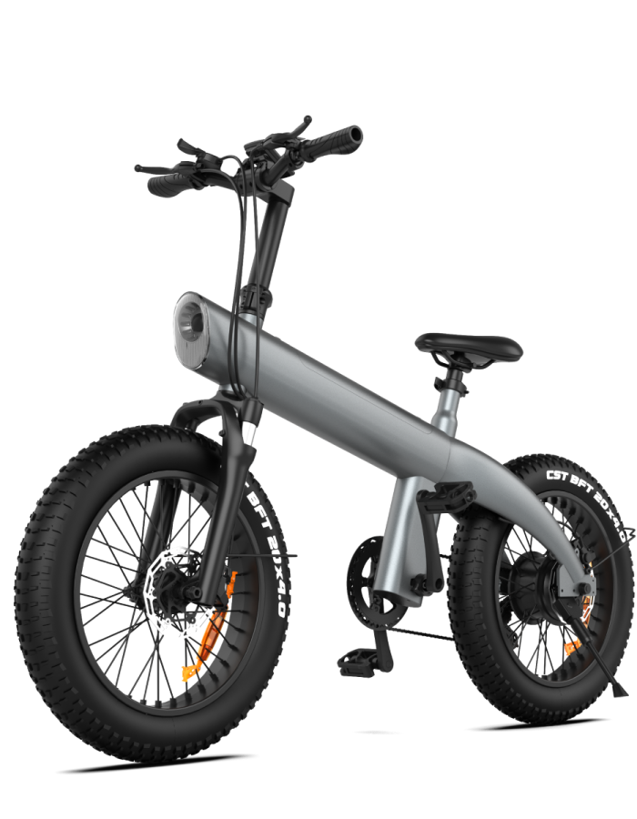 Q3 Fat Tire Electric Bike